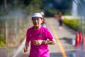 BIB: 
                            <button type="button" onclick="openModal(26543856)" class="btn btn-primary btn-sm float-right btn-popup" data-toggle="modal" data-target=".modal-high-quality">
                        <i class="fas fa-shopping-cart"></i> Add to Cart
                    </button>
                                            <button type="button" onclick="isThisMe(26543856, true)" class="btn btn-success btn-sm float-right btn-popup btn-isme hidden" data-toggle="tooltip" data-placement="bottom" title="นี่คือรูปของคุณใช่ไหม คลิกที่นี่เพื่อเอาเข้าอัลบั้ม">
                        <i class="fas fa-plus"></i> Add to album
                    </button>
                    <button type="button" onclick="isThisMe(26543856, false)" class="btn btn-warning btn-sm float-right btn-popup btn-isnotme hidden">
                        <i class="fas fa-ban"></i> Remove from album
                    </button>